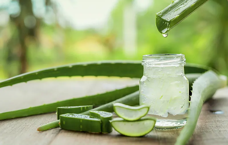 L'ALOE VERA, VOTRE ALLIE SANTE ET BIEN-ETRE